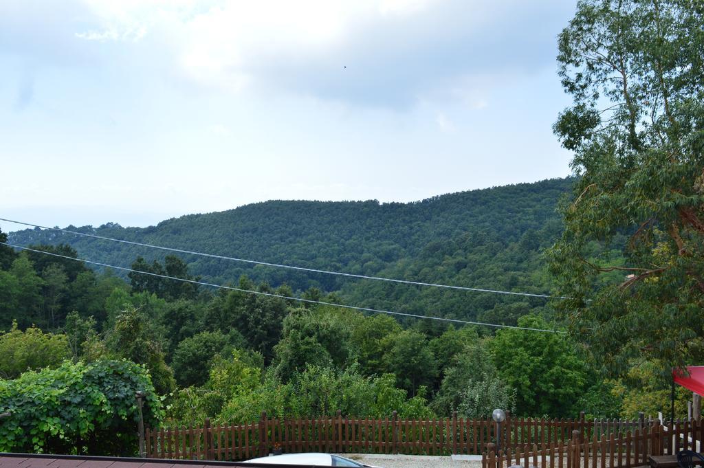 Agriturismo E Turre Serrastretta Bagian luar foto